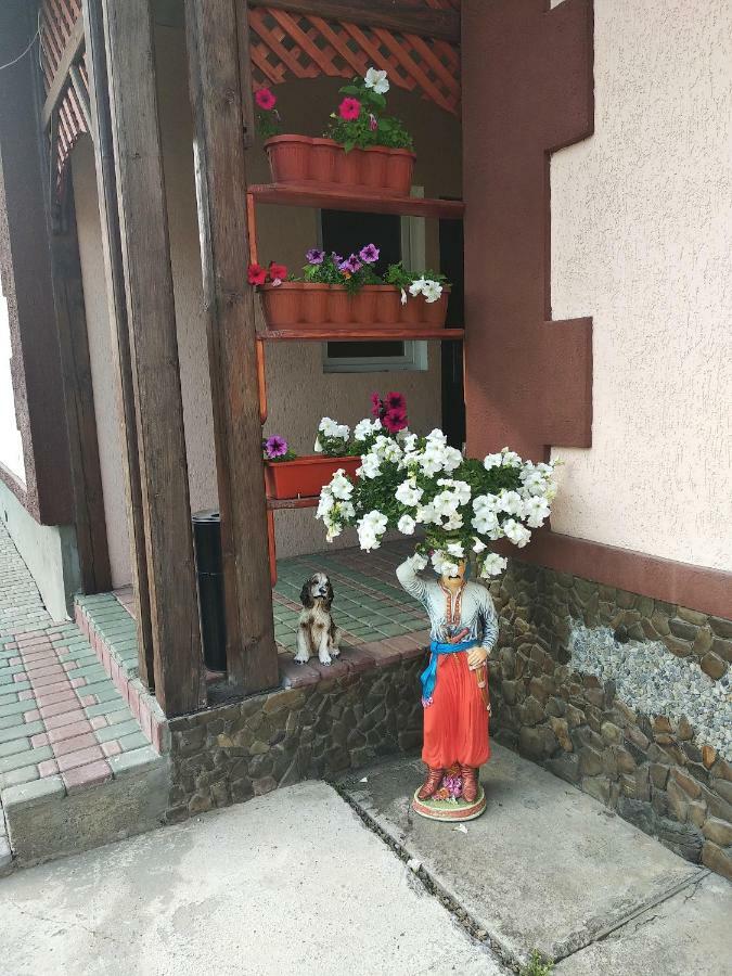 "Різьбярська Садиба" 斯拉夫西克 外观 照片
