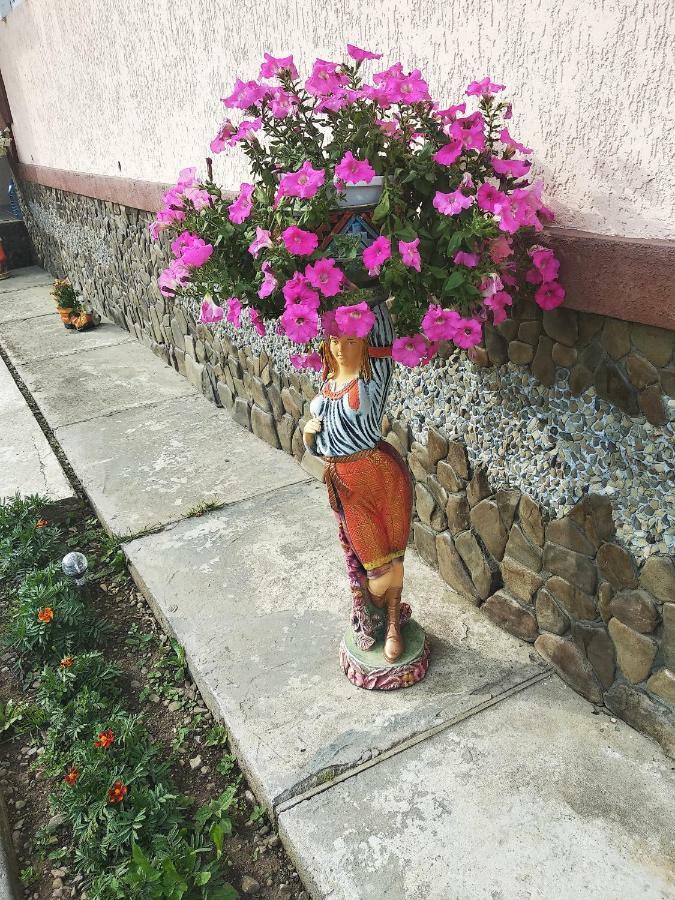 "Різьбярська Садиба" 斯拉夫西克 外观 照片